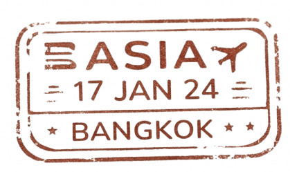Asia visa stamp